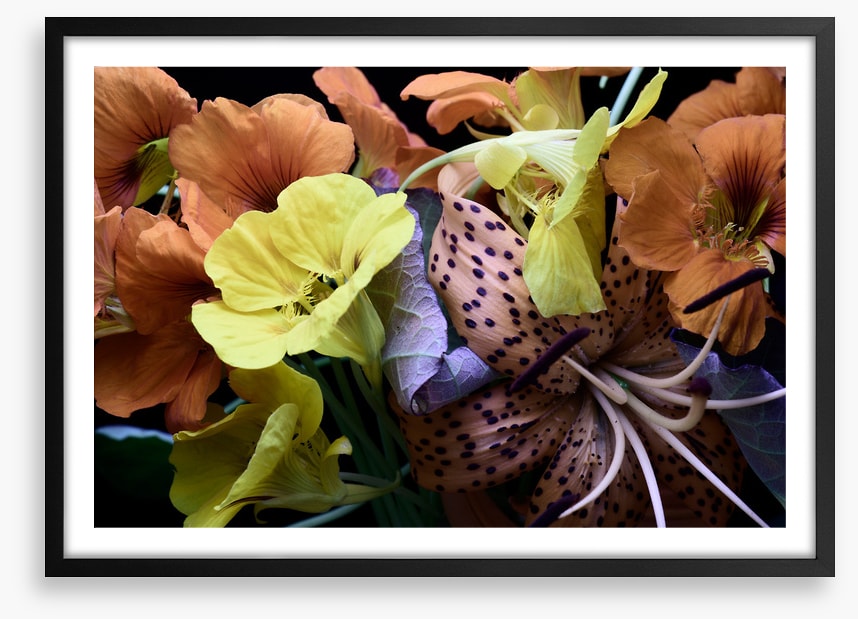 Nasturtium by nature