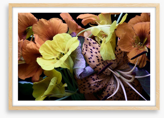 Nasturtium by nature