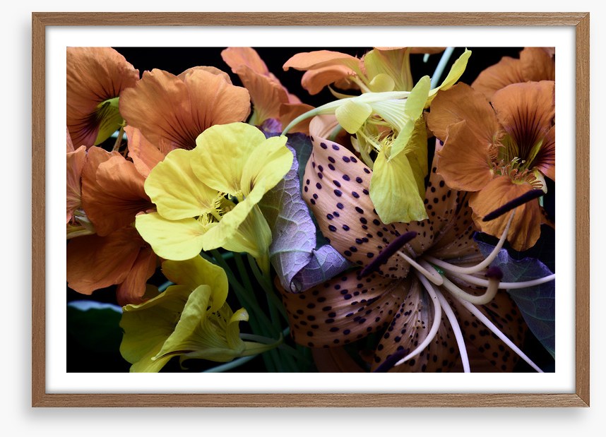 Nasturtium by nature
