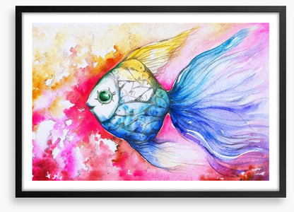 Rainbow carp