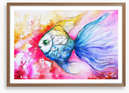 Rainbow carp