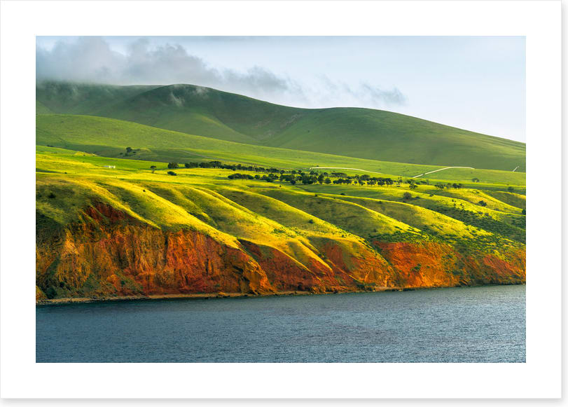 Greens to gold