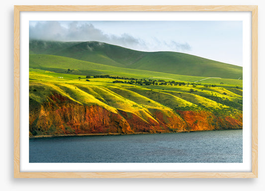Greens to gold