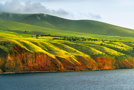 Greens to gold
