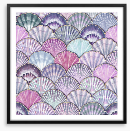 Purple pearl shells