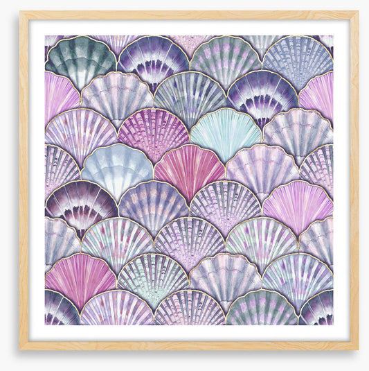 Purple pearl shells