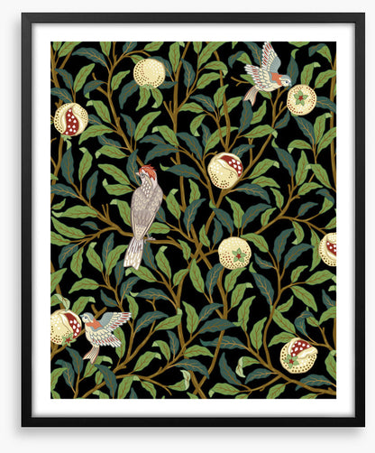 The pomegranate thieves