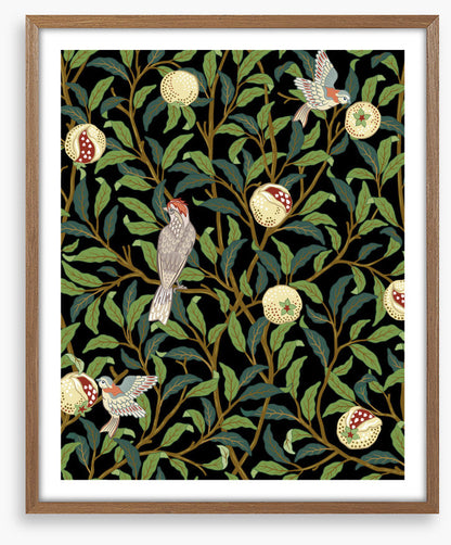 The pomegranate thieves