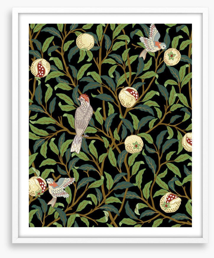 The pomegranate thieves