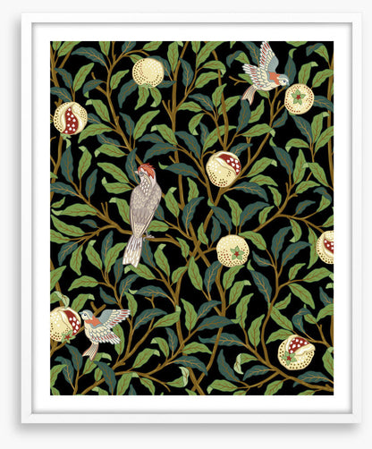 The pomegranate thieves