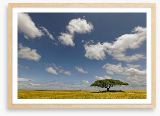 Alone in the grasslands