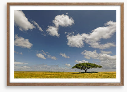 Alone in the grasslands