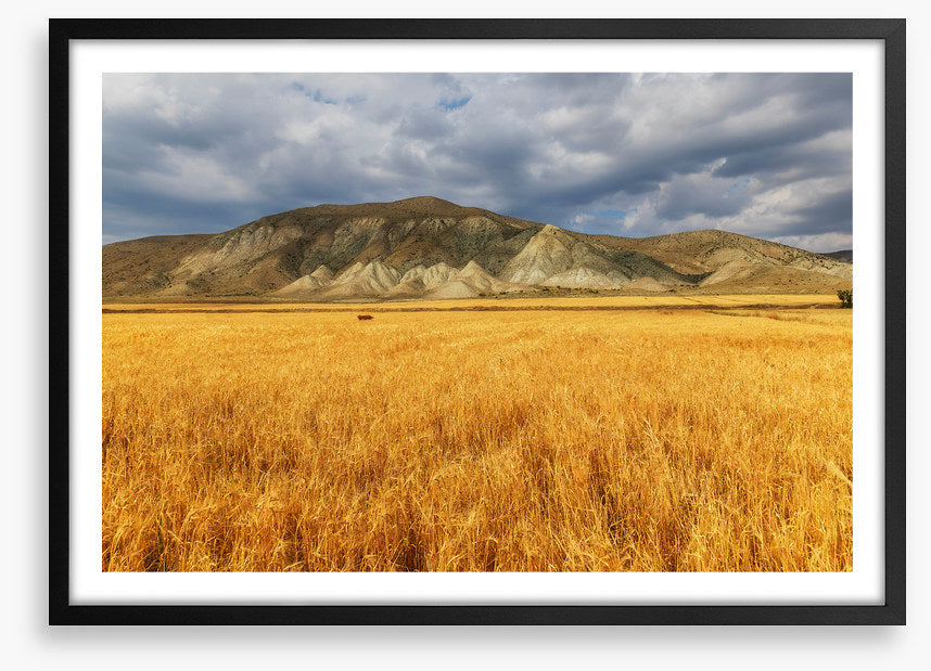 A mountain of wheat