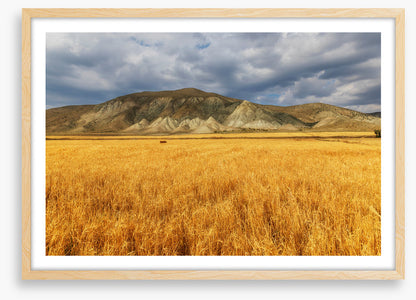 A mountain of wheat