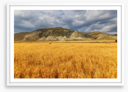 A mountain of wheat