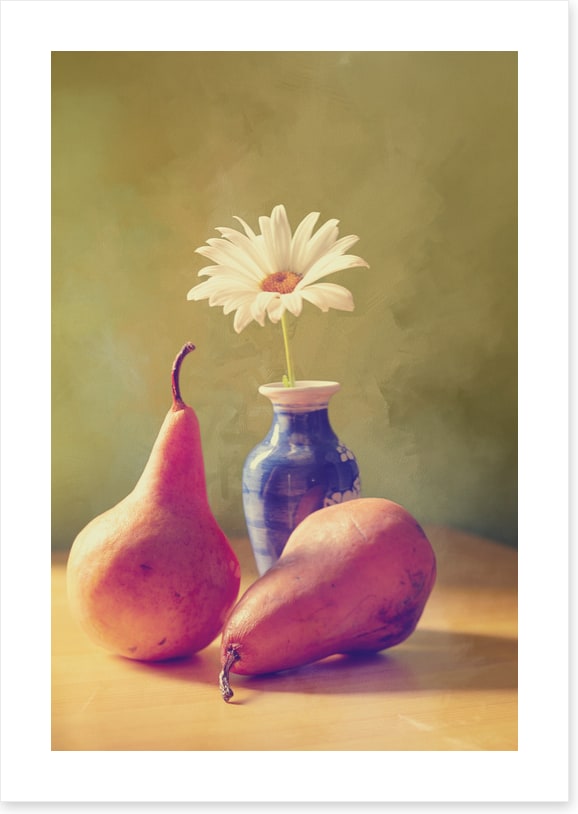 Daisy pears