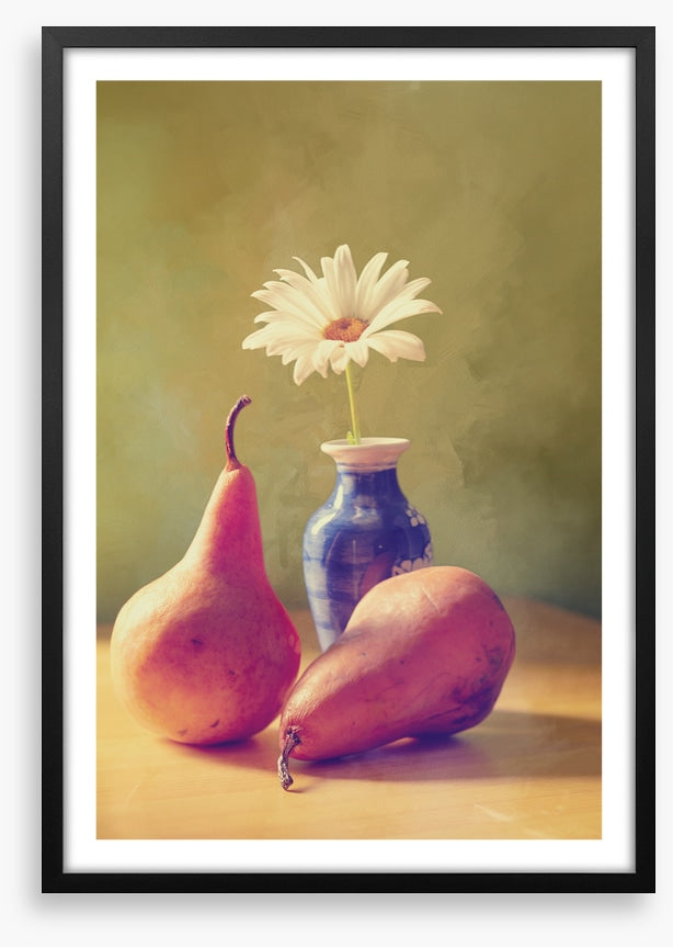 Daisy pears