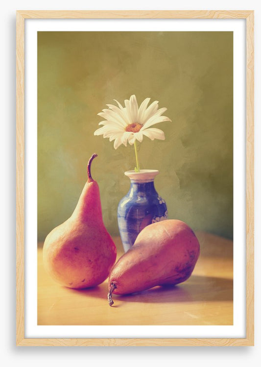 Daisy pears