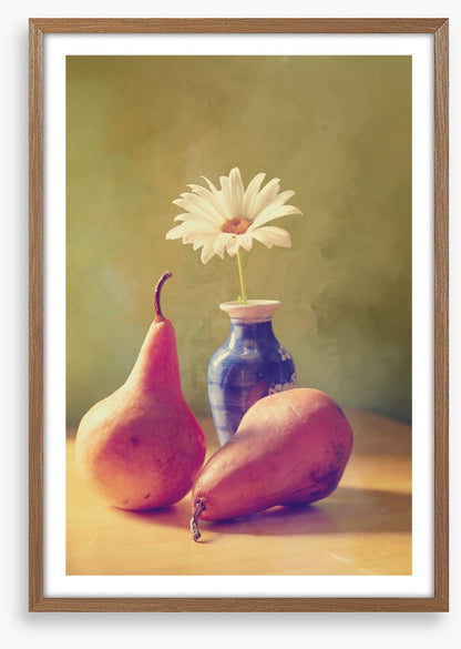 Daisy pears
