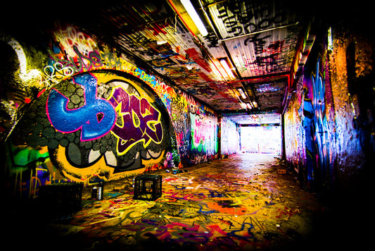 The artists lair
