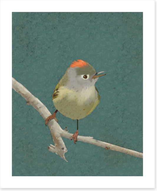 Birds