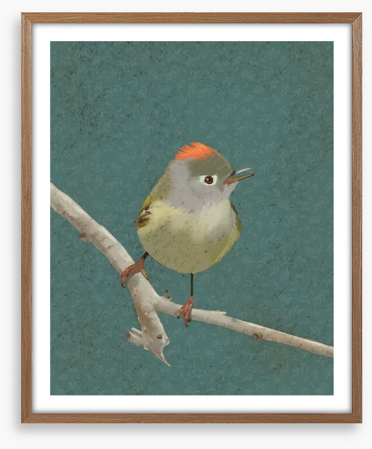 Birds