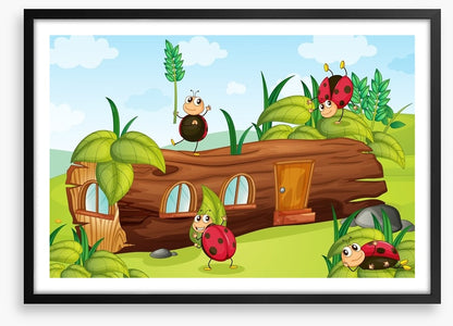 The ladybug log