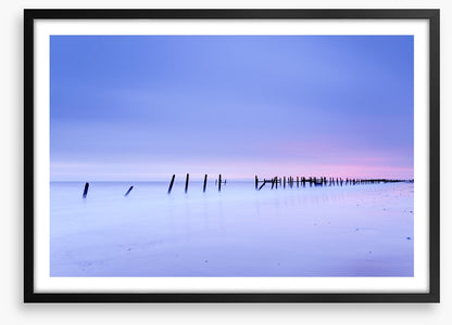 Defense line at dawn