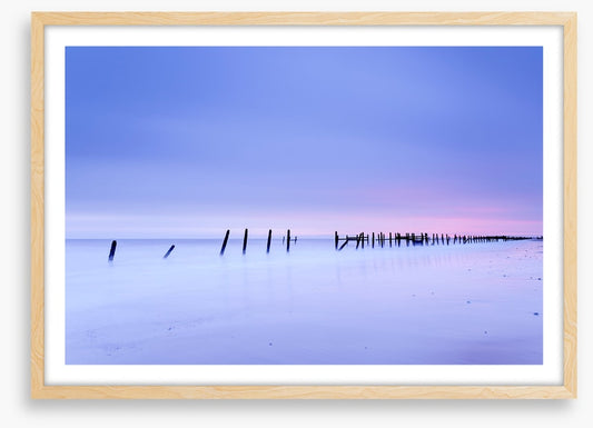 Defense line at dawn