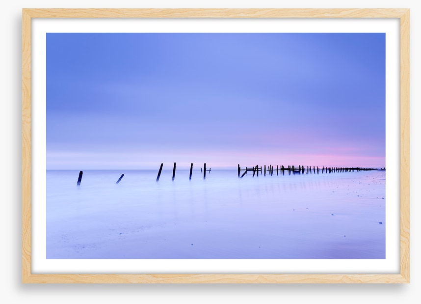 Defense line at dawn