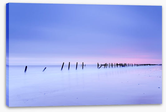 Defense line at dawn