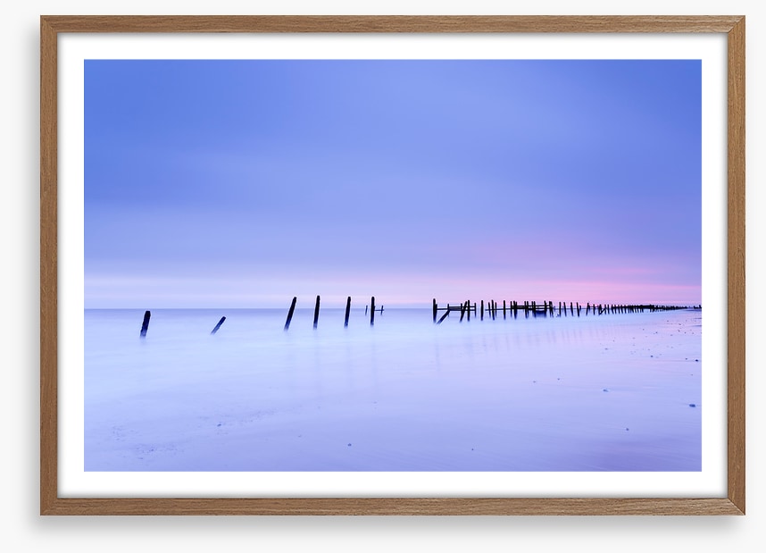 Defense line at dawn