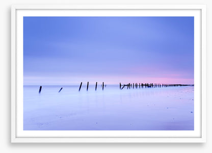 Defense line at dawn