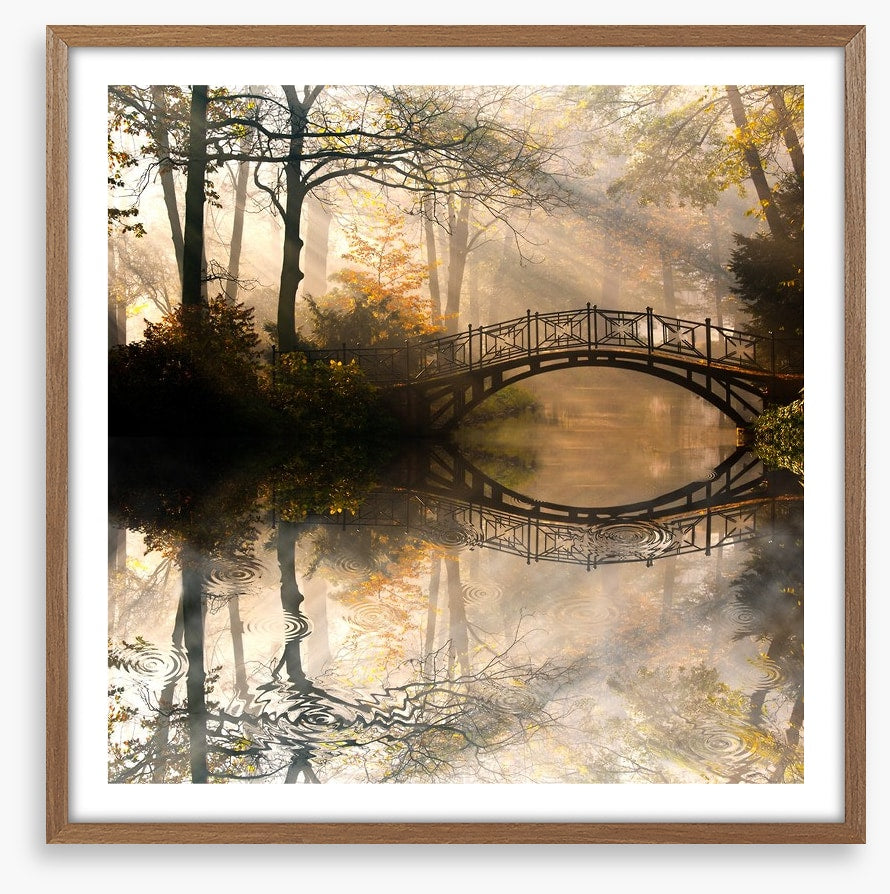Old bridge in the misty park