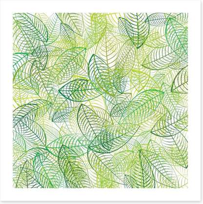 Summer leaves