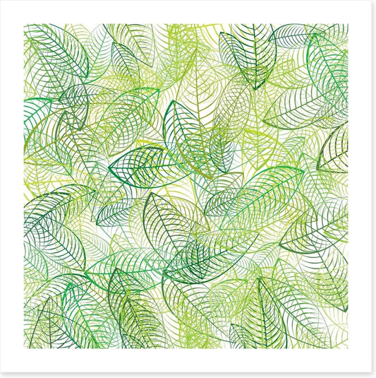 Summer leaves