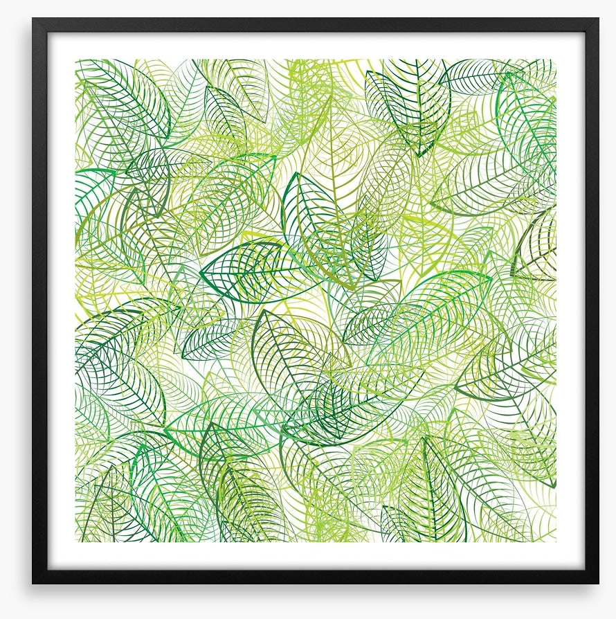 Summer leaves