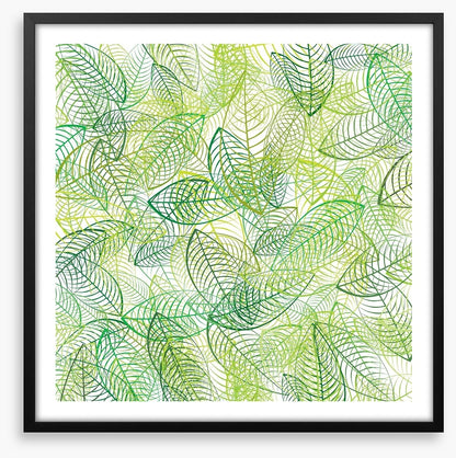 Summer leaves