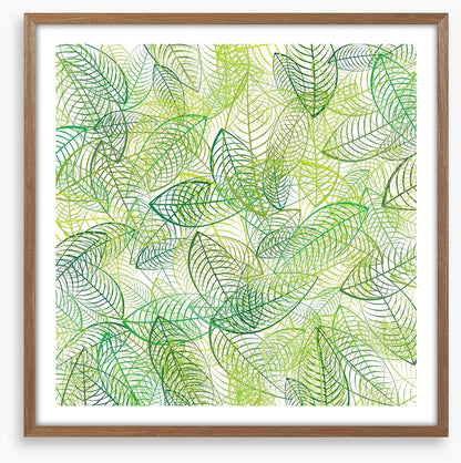 Summer leaves