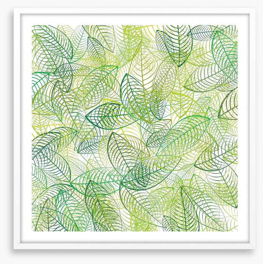 Summer leaves