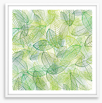 Summer leaves