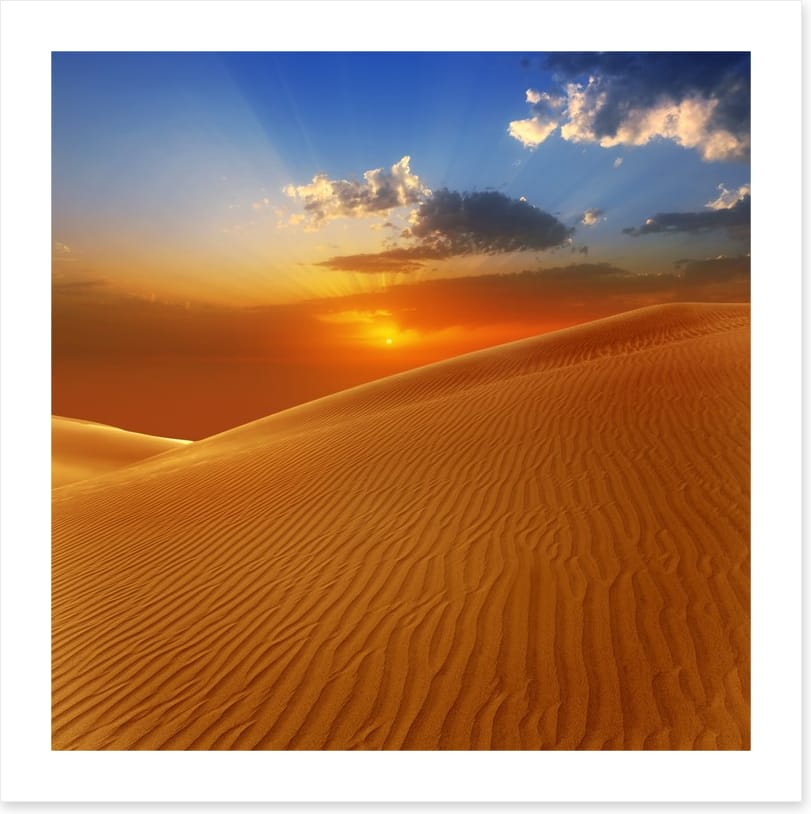 Desert