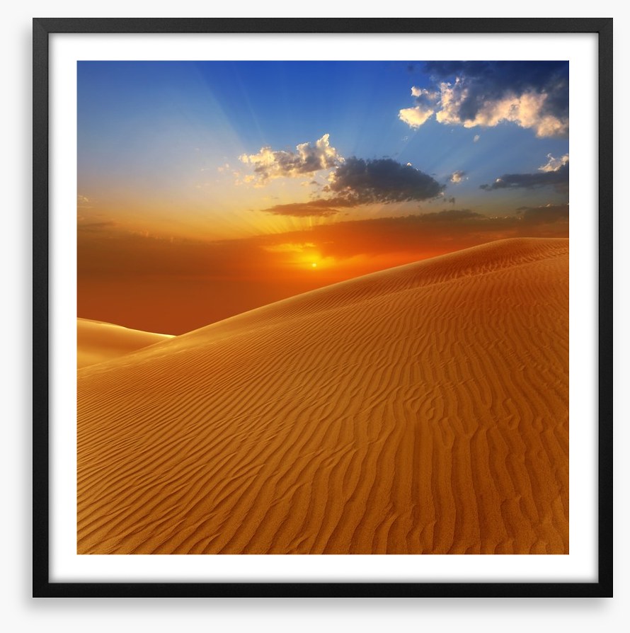 Desert