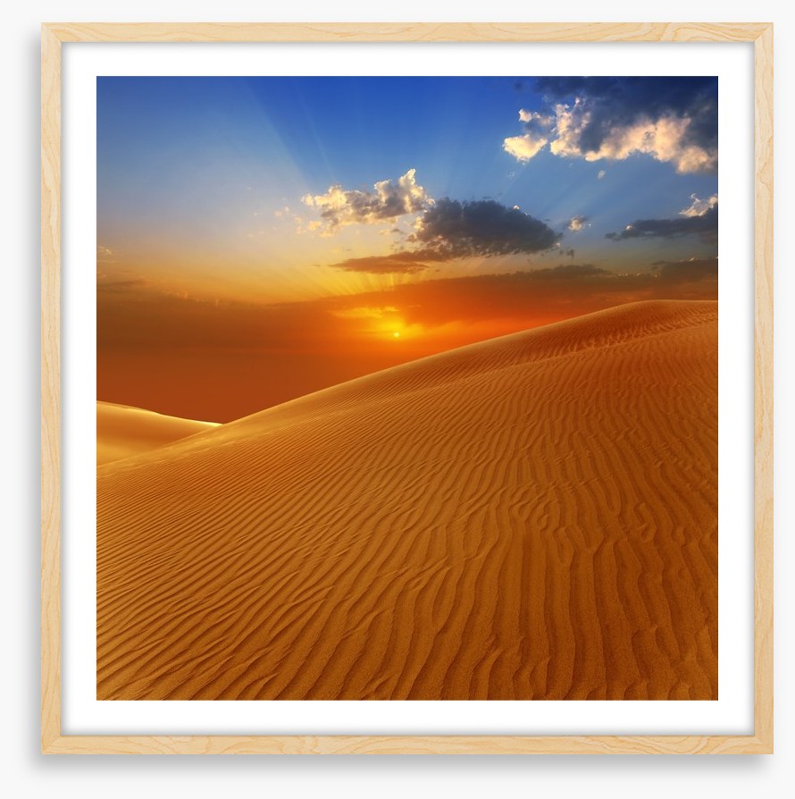 Desert