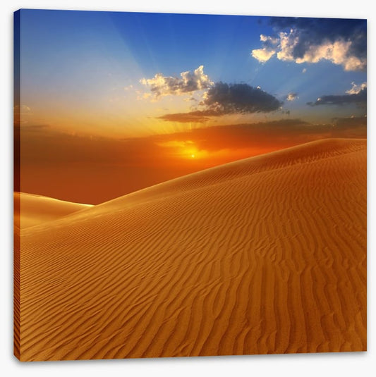 Desert