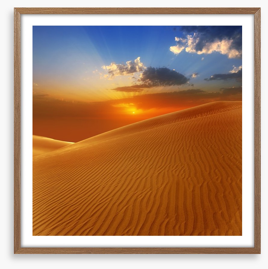 Desert