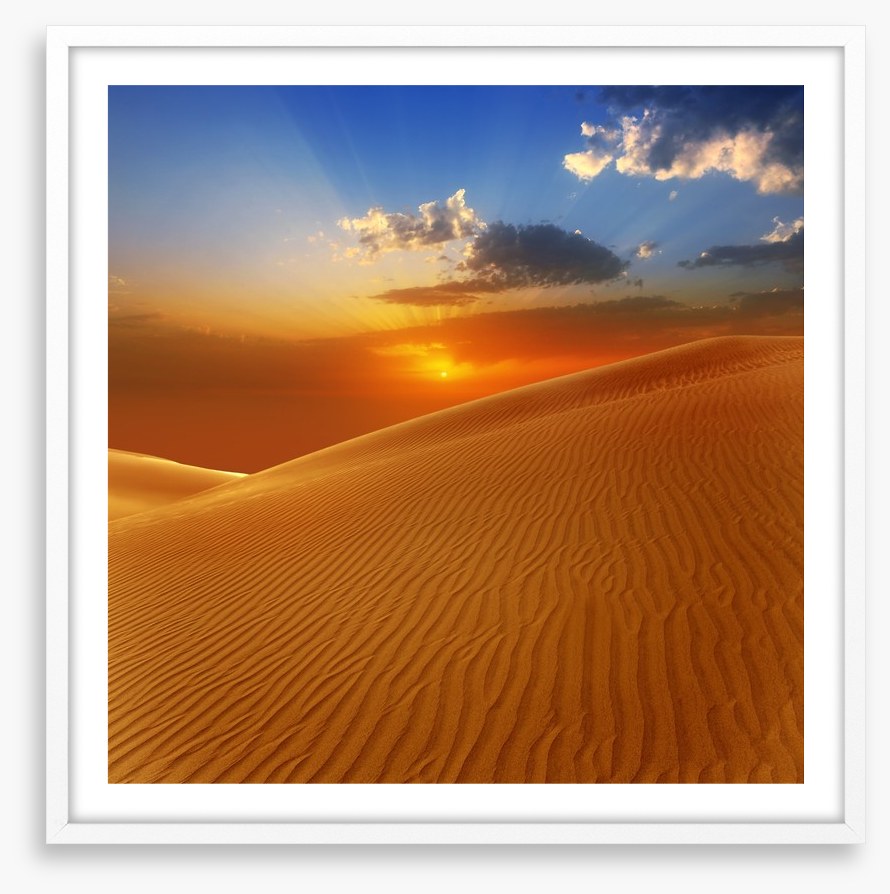 Desert