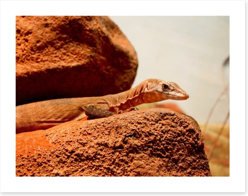 On the hot rocks