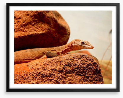 On the hot rocks