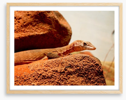 On the hot rocks